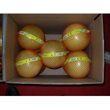 Mel Pomelo Fresh New Crop